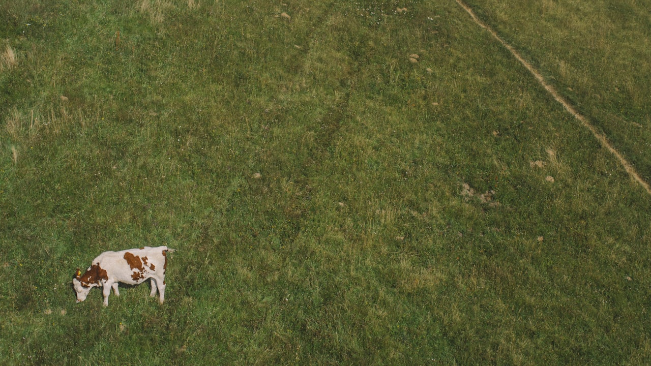 Four Fantastic Tips for Styling Your Mint Green Hoodies