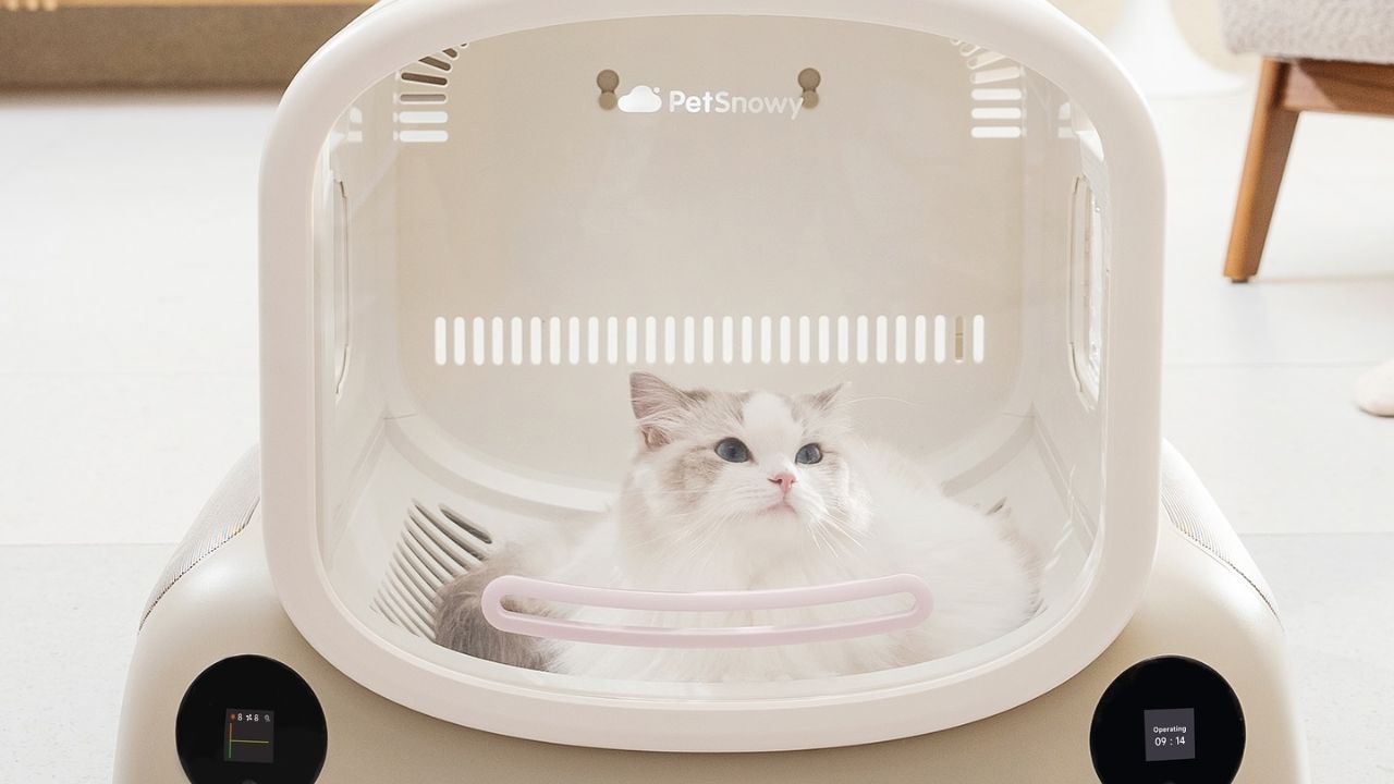 The Perfect Solution: Why Every Cat Guardian Requires a Dryer Box