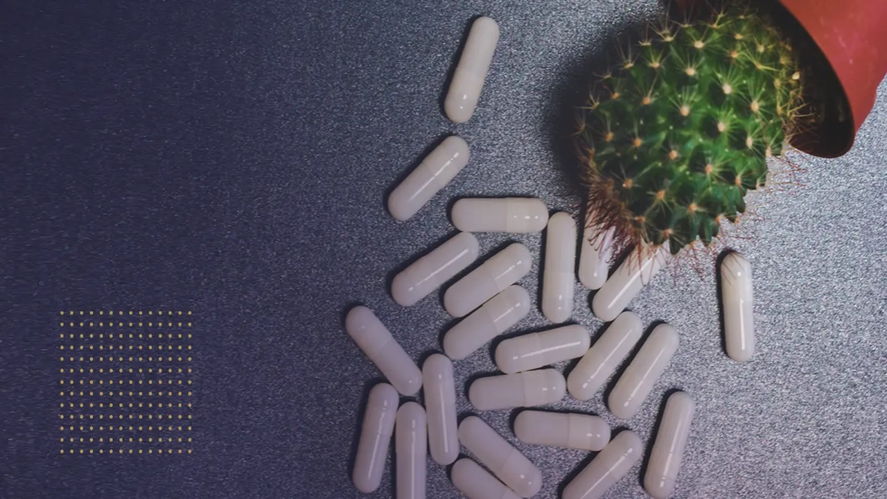 How GSH World Glutathione Powder Supports Detox and Immunity